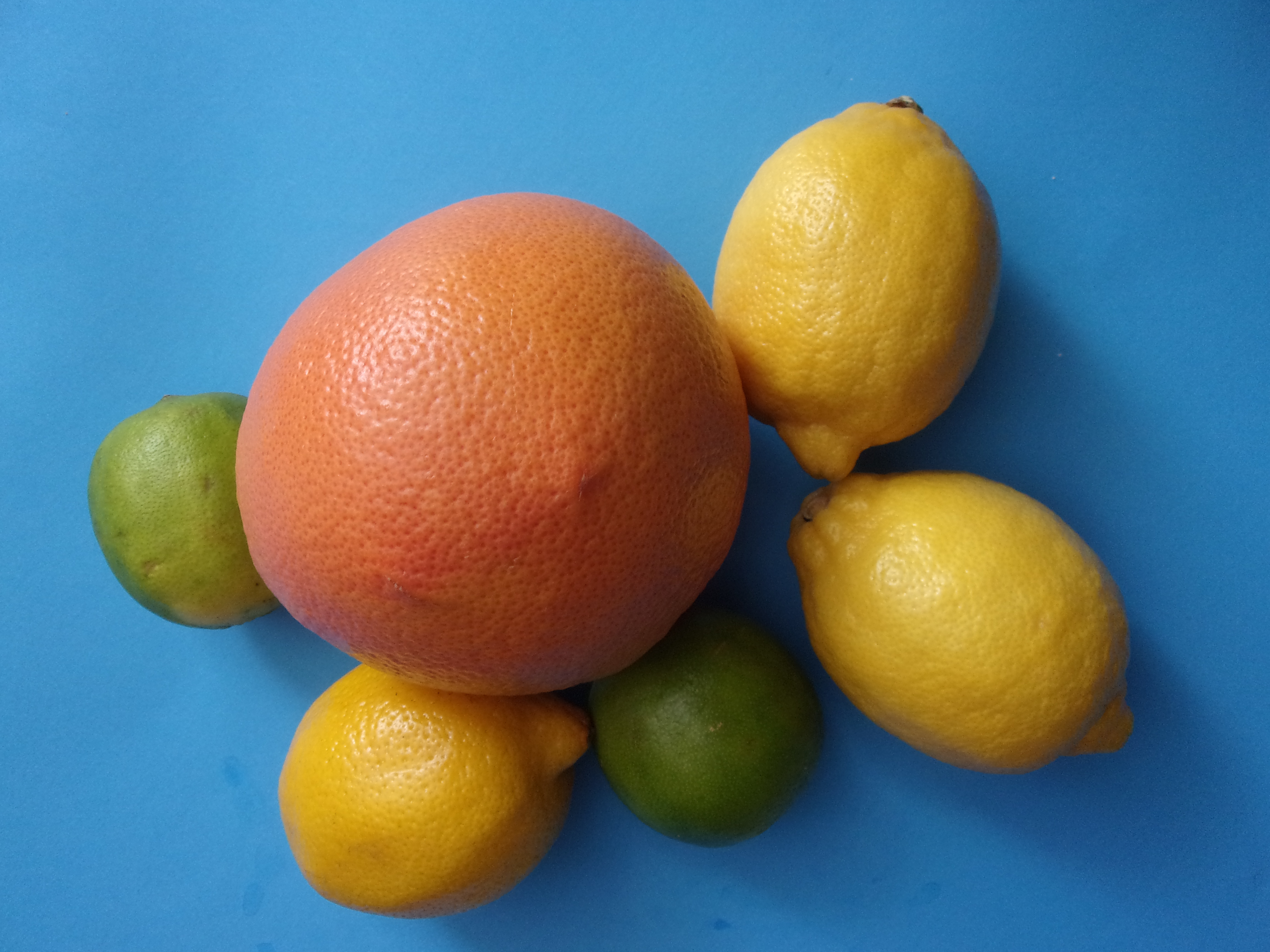 Citrus Fruit Citrus Fruit