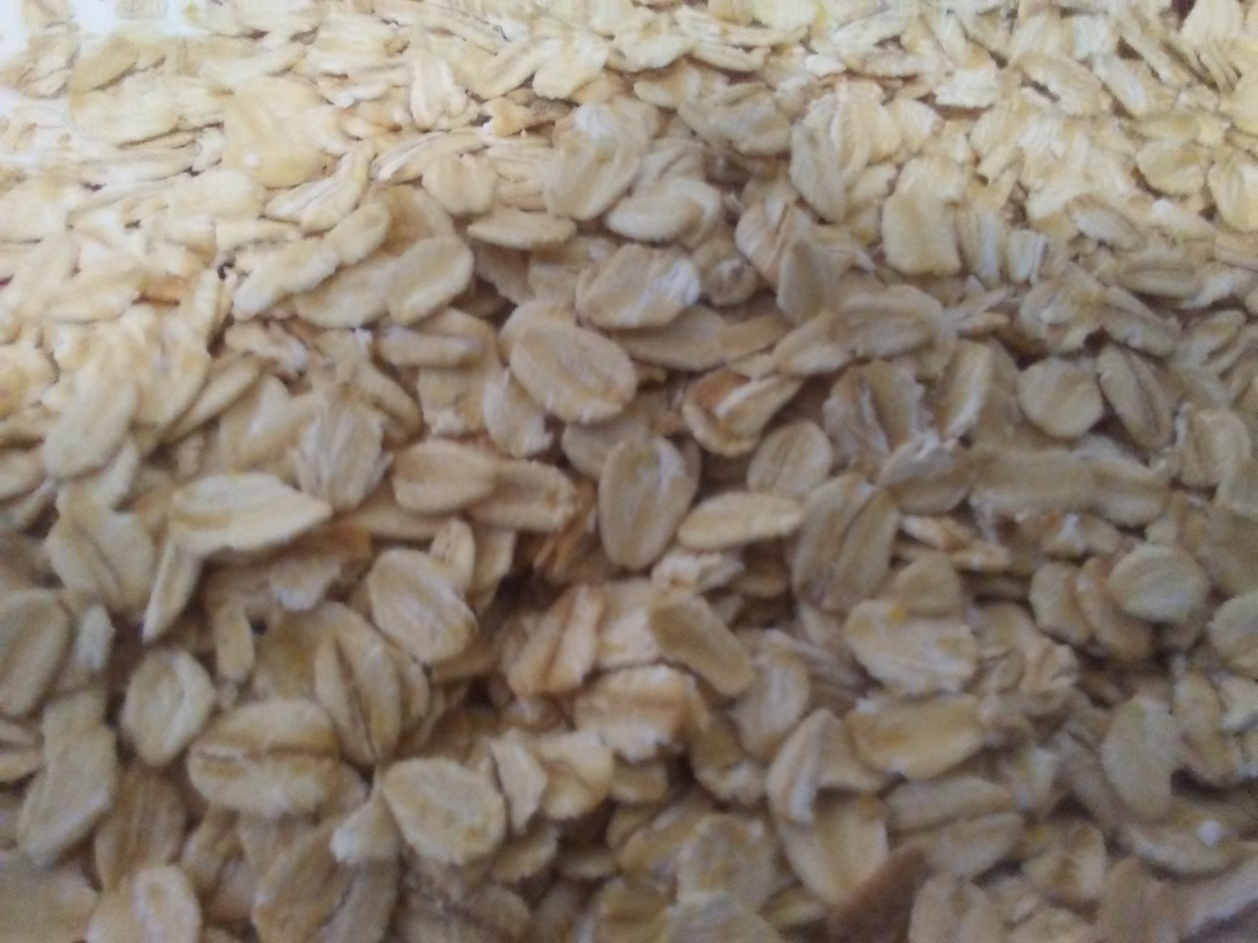 Whole Oats Whole Oats